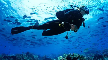 Allindive.com: Bring The Best Out of Your Diving Trips Article image