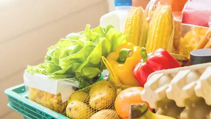 Sesa.id: A Healthy Lifestyle Through Organic Food Article image