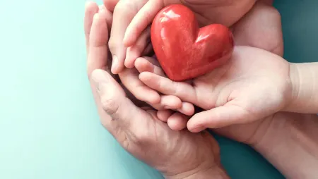 Dompet dhuafa: An Integrated Crowdfunding Platform Article image