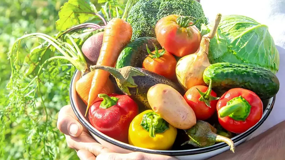 Alifmart: A B2B2C Virtual Market with Unique Strategy