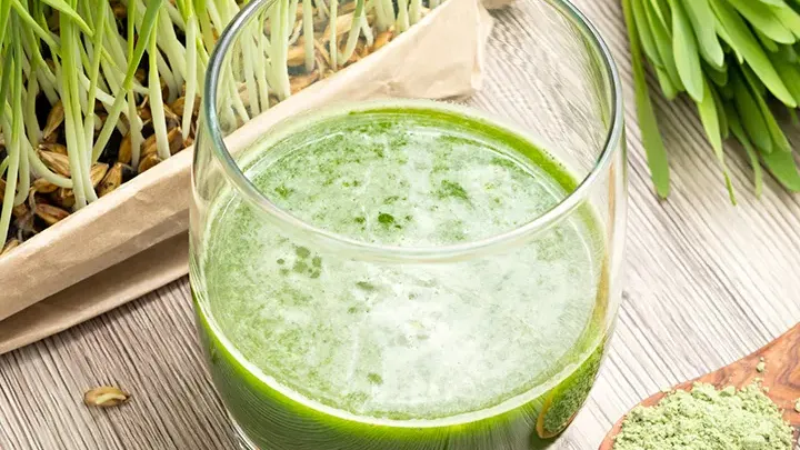 K-Link Commerce: Elevate Multi-Level Marketing with App