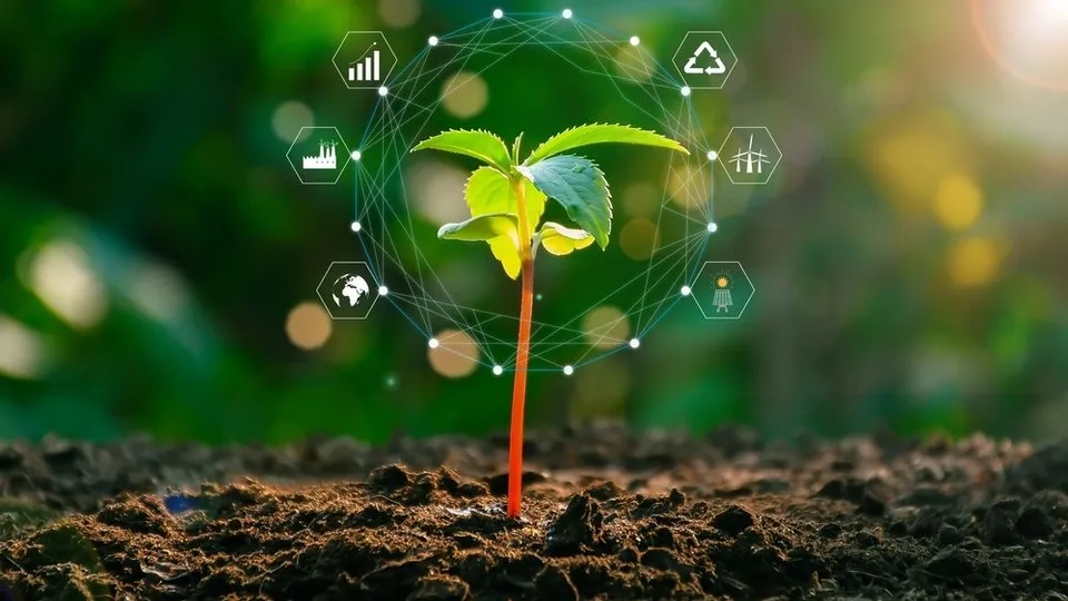 Eco-Resilience in Growth: Tree Planting as a Symbol of ESG Commitment Eco-Resilience in Growth: Tree Planting as a Symbol of ESG Commitment